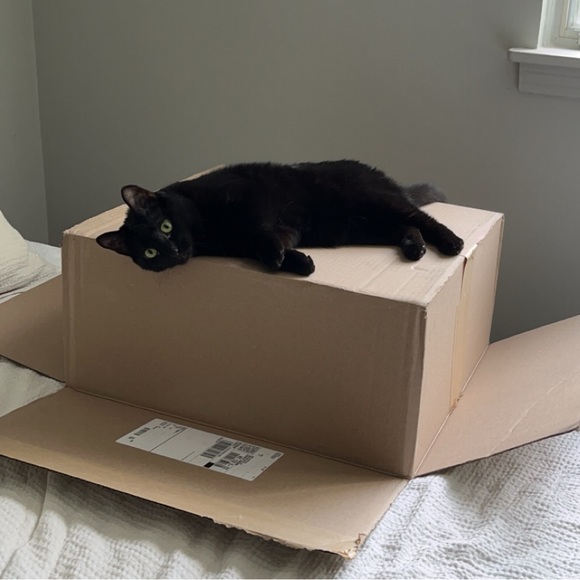 meet beka! - Picture 4 of 5